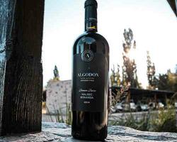Algodon Wines  FOTO: WEB