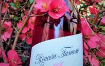Rincón Famoso Rose Malbec – Pinot Noir Cosecha 2020 FOTO: Bodegas López Rincón Famoso Rose Malbec – Pinot Noir Cosecha 2020 FOTO: Bodegas López