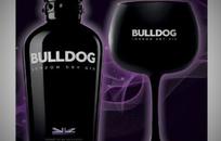 BULL DOG FOTO: WEB BULL DOG FOTO: WEB