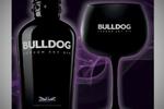 BULL DOG FOTO: WEB BULL DOG FOTO: WEB
