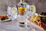 Gin FOTO: Diageo Gin FOTO: Diageo