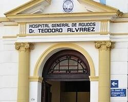 Hospital General de Agudos Dr. Teodoro Álvarez FOTO: WEB