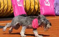 Eukanuba FOTO: WEB Eukanuba FOTO: WEB