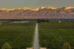 Bodega Domaine Bousquet FOTO: WEB Bodega Domaine Bousquet FOTO: WEB