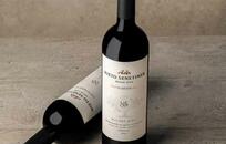 Bodega Nieto Senetiner FOTO: WEB Bodega Nieto Senetiner FOTO: WEB