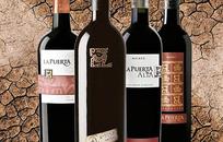 Bodega Valle de La Puerta FOTO: Bodega Valle de La Puerta Bodega Valle de La Puerta FOTO: Bodega Valle de La Puerta