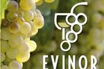 EVINOR 2021 FOTO: WEB EVINOR 2021 FOTO: WEB