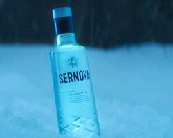 Sernova Vodka FOTO: WEB