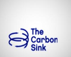 The Carbon Sink FOTO: WEB