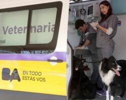 Atención veterinaria  FOTO: GCABA