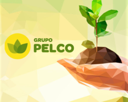 Grupo Pelco    FOTO: Grupo Pelco