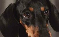 Foto tiene carácter ilustrativo   CMCABA