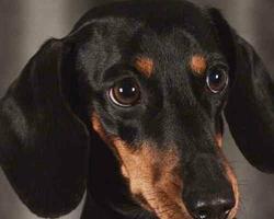 Foto tiene carácter ilustrativo   CMCABA