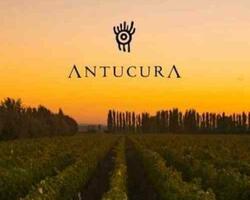 Bodega Antucura FOTO: Bodega Antucura