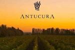 Bodega Antucura FOTO: Bodega Antucura