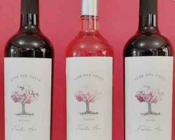Bodega La Magdalena  FOTO: WEB