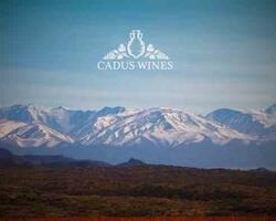 Bodega Cadus Wines FOTO: WEB