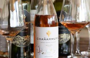 Bodega Chañarmuyo FOTO: WEB