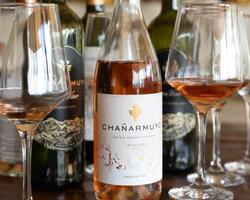Bodega Chañarmuyo FOTO: WEB