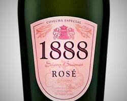 Sidra FOTO: CCU Argentina