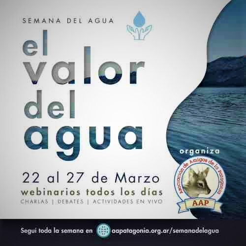 Comienza la Semana Mundial del Agua con la participación de referentes ...