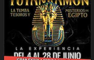 Muestra  FOTO: WEB