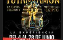 Muestra  FOTO: WEB