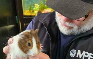 Pet Shop  FOTO: MPFCABA