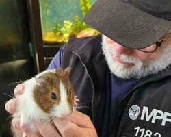 Pet Shop  FOTO: MPFCABA