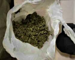 Marihuana FOTO: MPFCABA