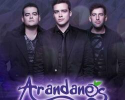 Grupo  "Arándanos"  FOTO: WEB