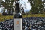 Vino Malbec FOTO: WEB Vino Malbec FOTO: WEB