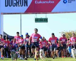 DOG RUN FOTO: WEB