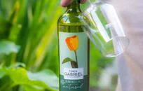 Finca Gabriel FOTO: WEB