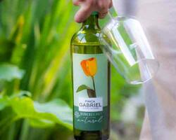 Finca Gabriel FOTO: WEB