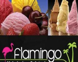 Flamingo FOTO: WEB