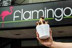 Heladería Flamingo FOTO: WEB Heladería Flamingo FOTO: WEB