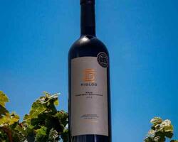Huarpe Riglos Family Wines FOTO: WEB