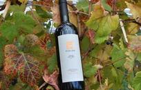 Huarpe Riglos Family Wines FOTO: WEB