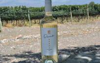  Huarpe Riglos Family Wines FOTO: WEB