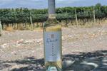  Huarpe Riglos Family Wines FOTO: WEB