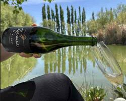 Huarpe Riglos Family Wines FOTO: WEB