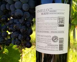 Bodega Aniello FOTO: Bodega Aniello