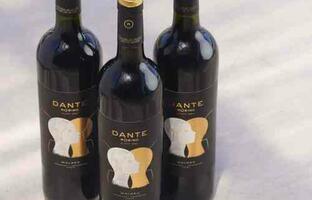 Vinos FOTO: web