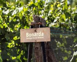 Bodega Dante Robino  FOTO: Bodega Dante Robino 