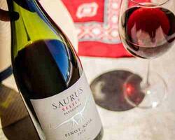 Bodega Familia Schroeder FOTO: WEB