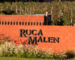  Bodega Ruca Malen FOTO:  Bodega Ruca Malen