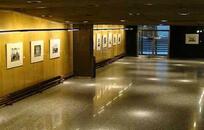 Fotogalería FOTO: WEB