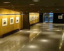 Fotogalería FOTO: WEB