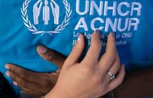 ACNUR FOTO: WEB
